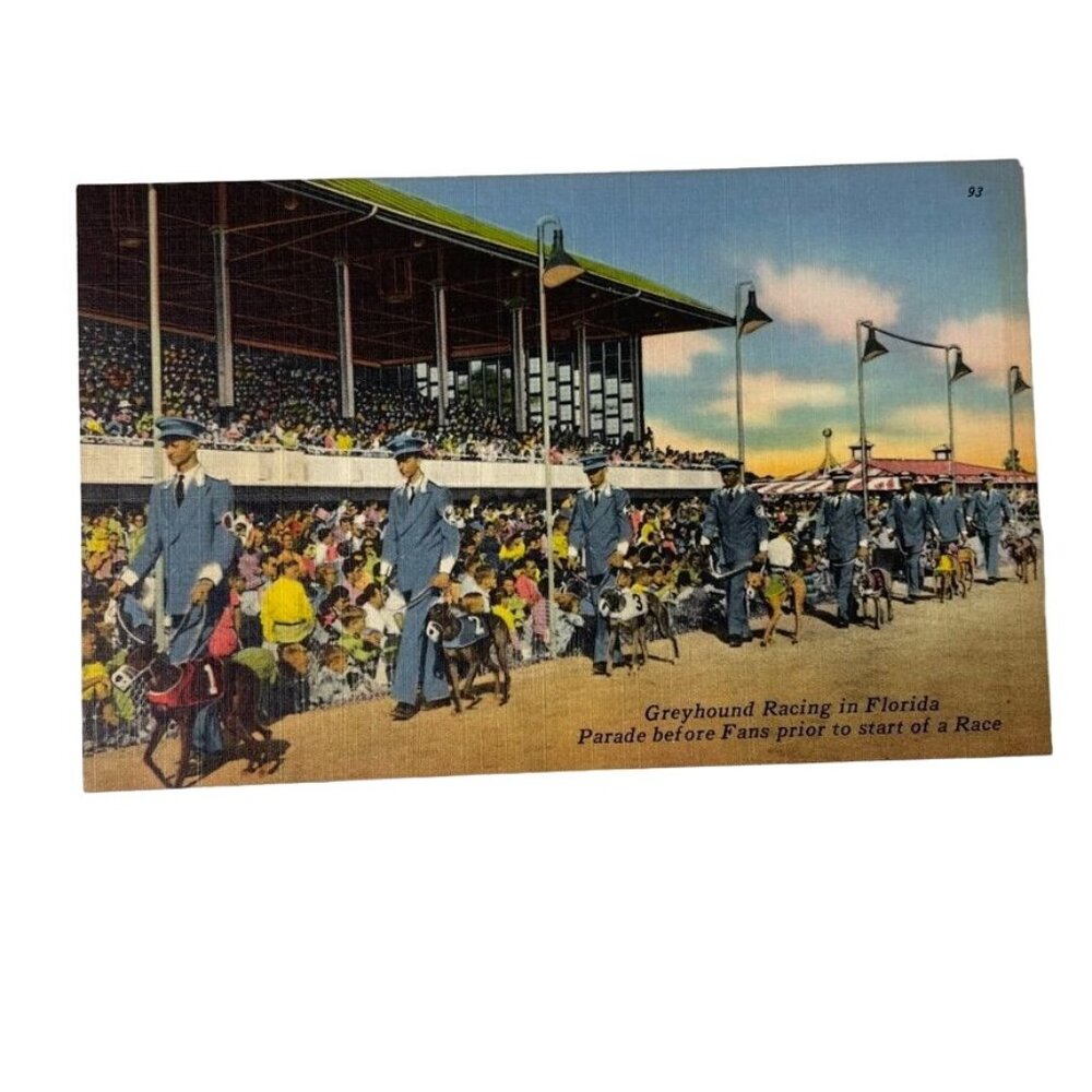 Vintage Postcard Greyhound Racing Florida Parade Before Fans Standard u